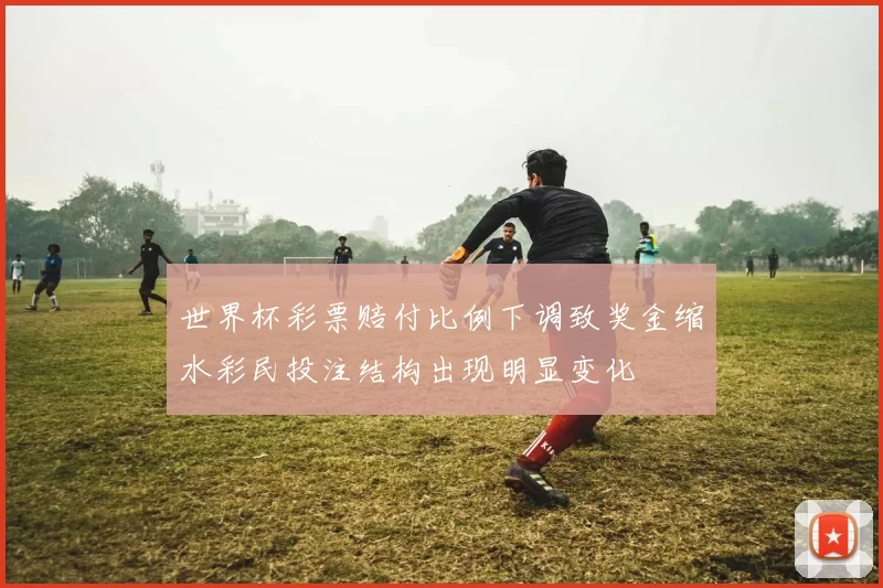 世界杯彩票赔付比例下调致奖金缩水彩民投注结构出现明显变化