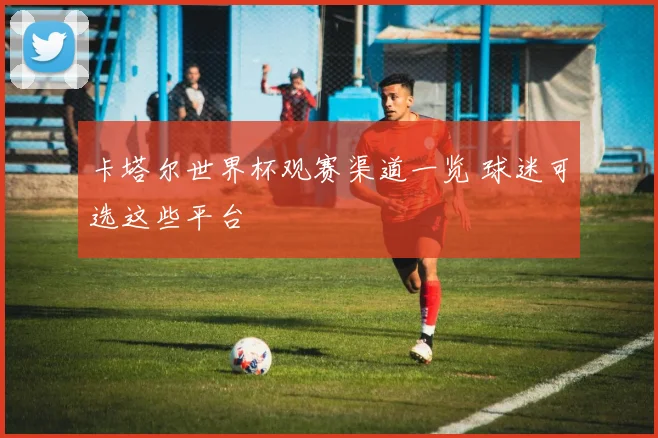 卡塔尔世界杯观赛渠道一览 球迷可选这些平台