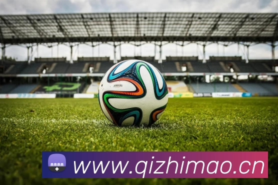 D体育网 - D体育(中国)服务体系